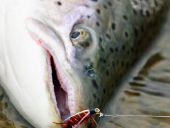 Rio Grande Fly fishing in Argentina