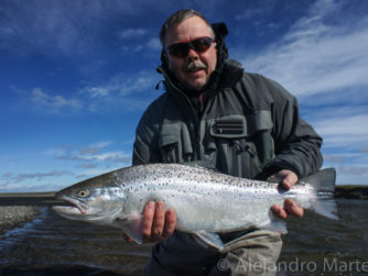 Sea-Run Brown Trout