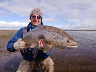 Giant Sea Run Brown Trout