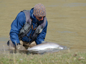 Release | Rio Grande Fly fishing in Argentina