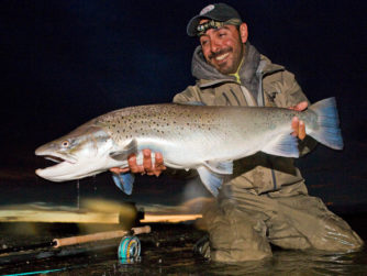 Sea-Run Brown Trout - Tierra del Fuego