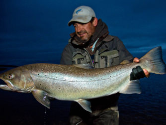 Sea-Run Brown Trout - Tierra del Fuego, Argentina