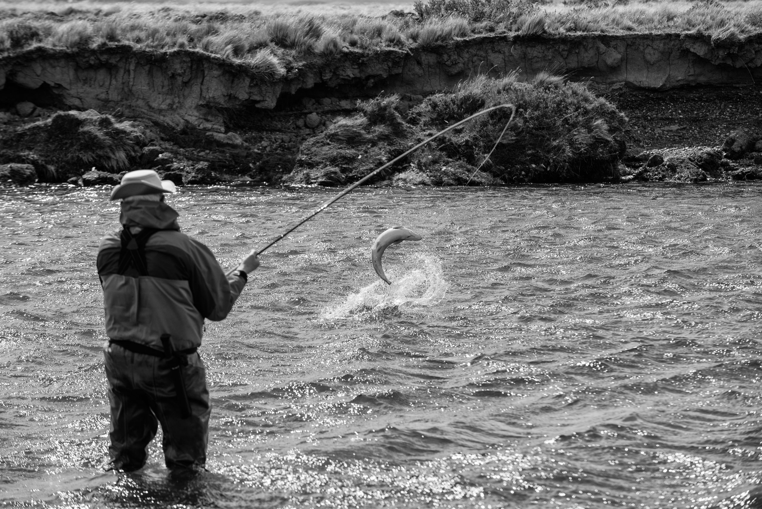 Sea Run Brown Trout Fly Fishing Opportunities