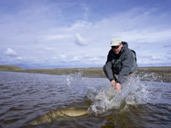 Release - Tierra del Fuego