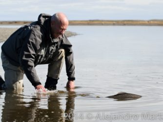 Release - Tierra del Fuego