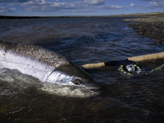 Release - Tierra del Fuego